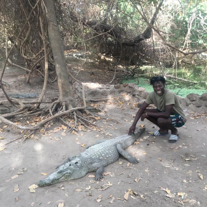 mustaphas travel taxi for your excursions and visit to the crocodile pool in the gambia