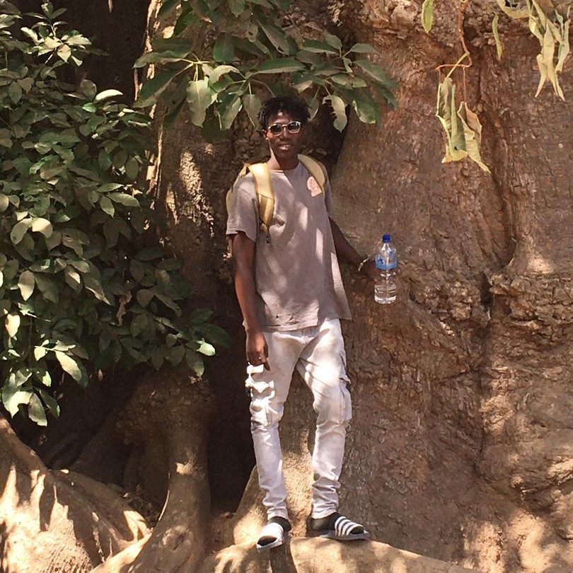 Mustapha's travel taxi service in the gambia for your excursions and your visit to Lamin lodge with a boat trip to the mangroves to see the elephant tree